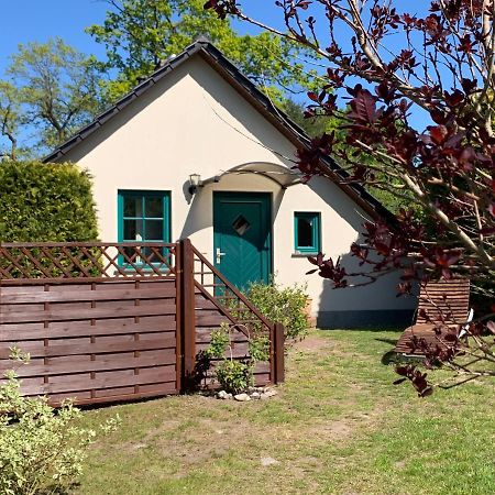 „Rentmeisterhaus Basedow“ Basedow  Bagian luar foto