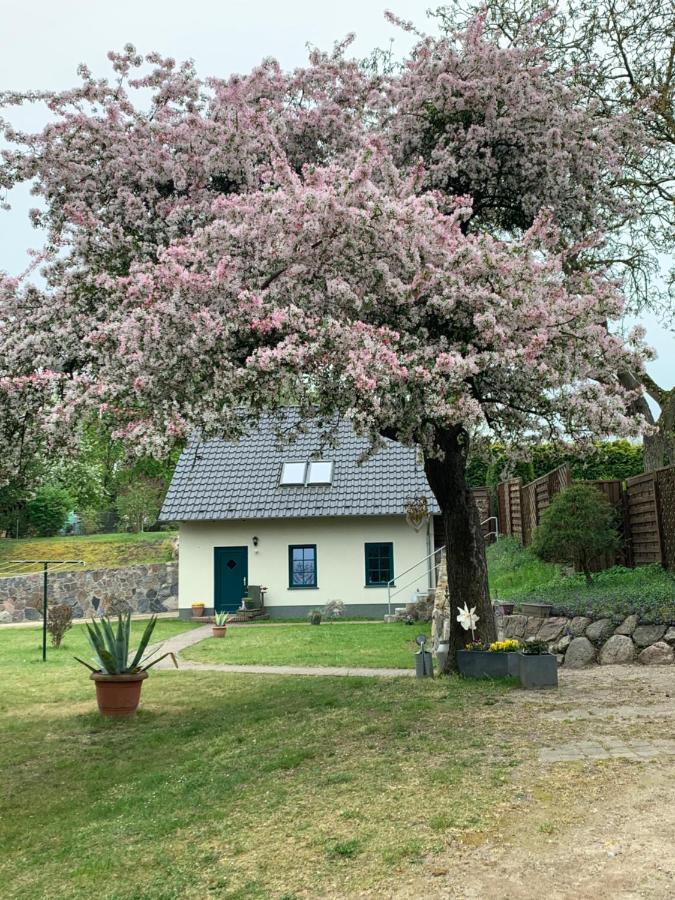 „Rentmeisterhaus Basedow“ Basedow  Bagian luar foto