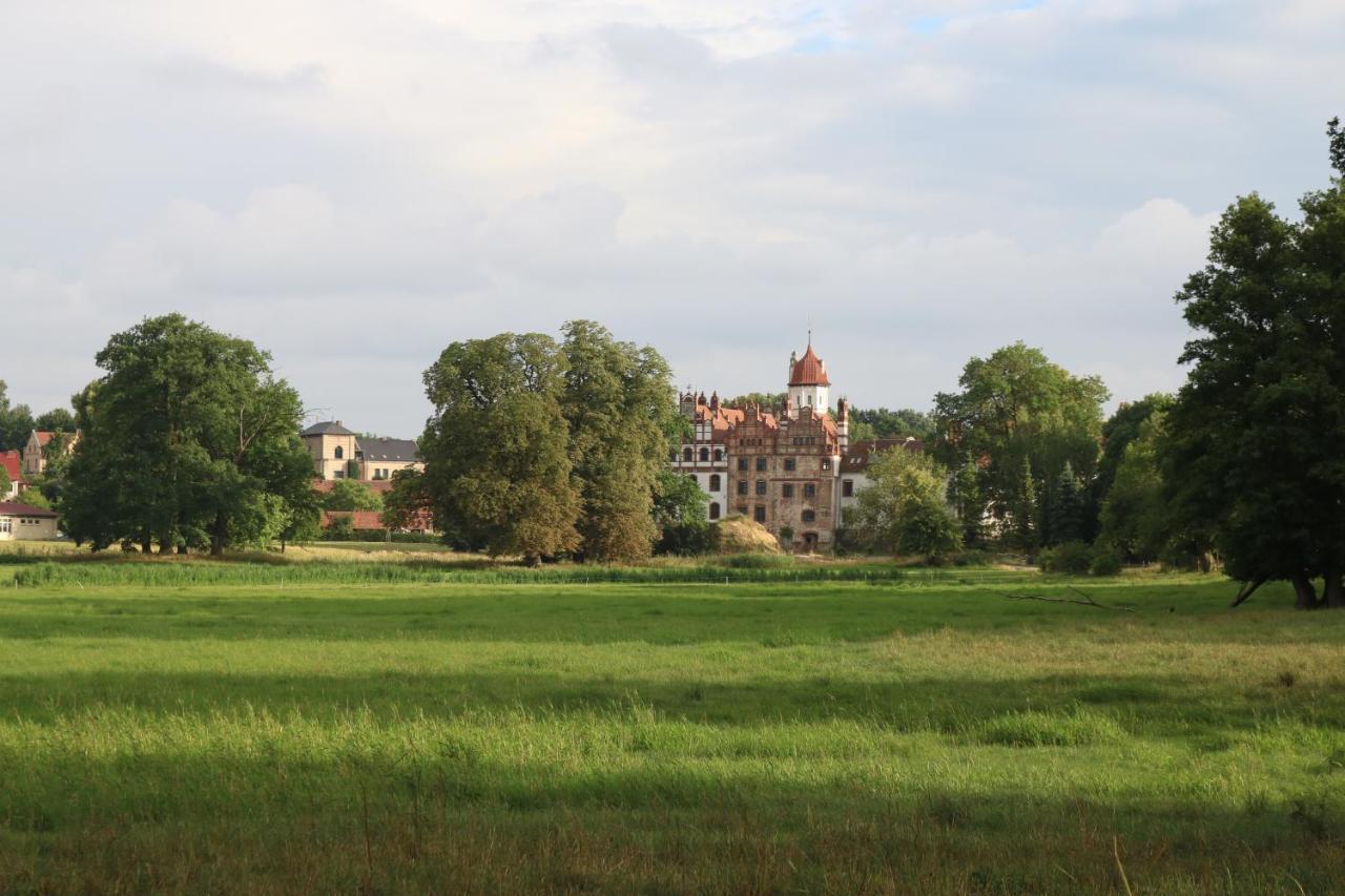 „Rentmeisterhaus Basedow“ Basedow  Bagian luar foto