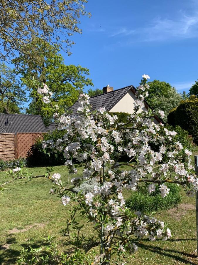 „Rentmeisterhaus Basedow“ Basedow  Bagian luar foto